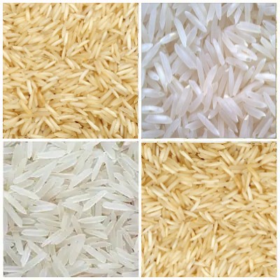 1509 Basmati Rice 1509 Basmati Rice