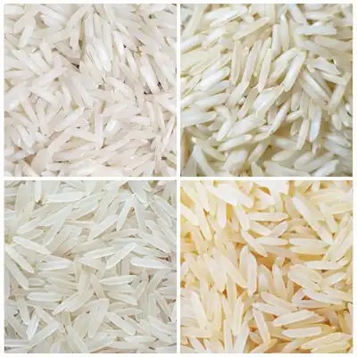 1718 Basmati Rice 1718 Basmati Rice