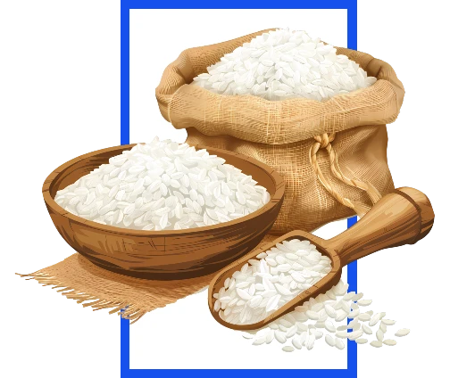 VRAgro India Basmati Rice VRAgro India Basmati Rice