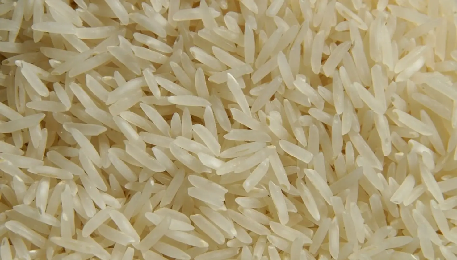 1121 Raw BASMATI RICE