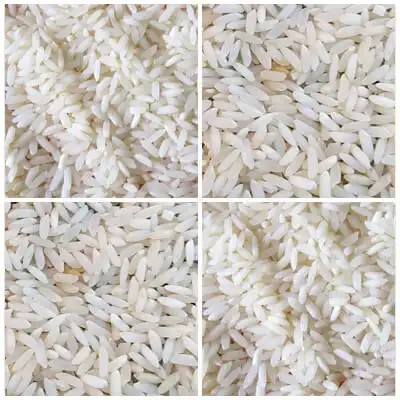 Sona Basmati Rice Sona Basmati Rice