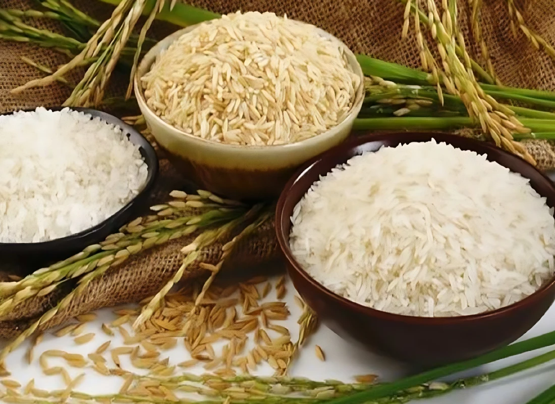 Basmati Rice Suppliers Manufacturers, Exporters Basmati Rice Suppliers Manufacturers, Exporters