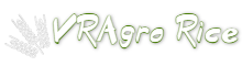 VRAgro Rice