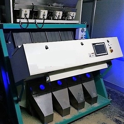 Rice sortex VRAgro Rice