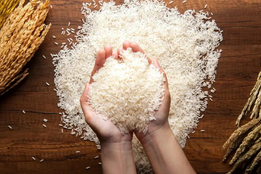 Basmati Rice Basmati Rice